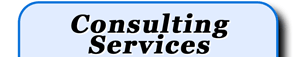 Consulting Services