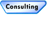 Consulting Services Button